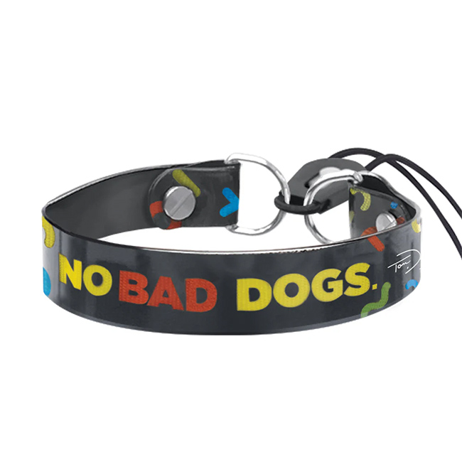 Dogtra Bungee Halsband 640C TD