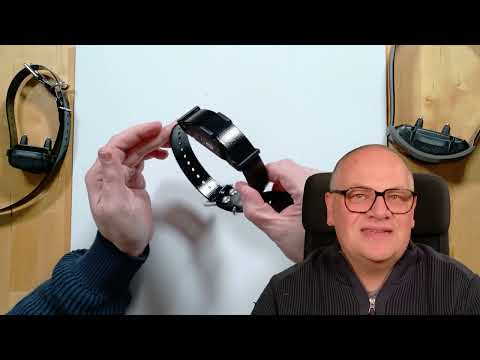 Zusatzhalsbandempf. Dogtra1200X