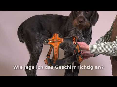 Niggeloh Geschirr Follow Sport PLUS S